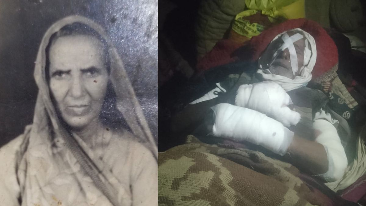 यूपी: मिर्जापुर में महिला को कुत्ते ने नोच-नोचकर मार डाला, बचाने आए पति को भी काटा, ग्रामीणों ने ऐसे लिया बदला