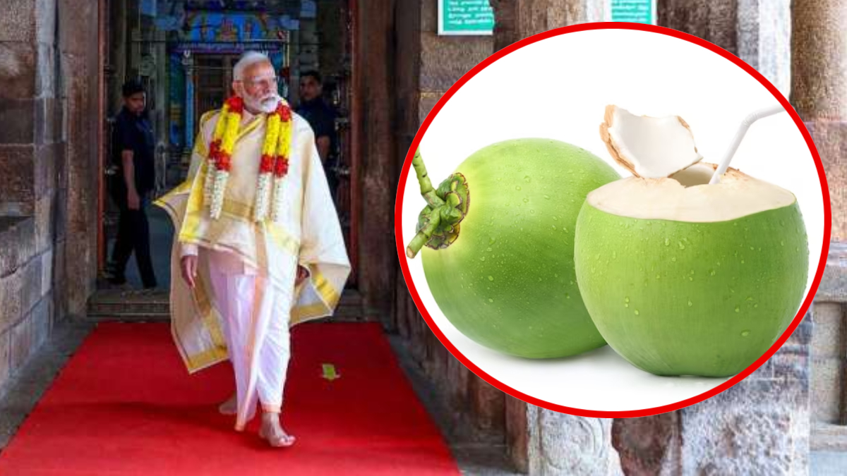 पीएम मोदी व्रत में सिर्फ नारियल पानी पी रहें हैं, जानिए इससे कितनी ऊर्जा मिलती है