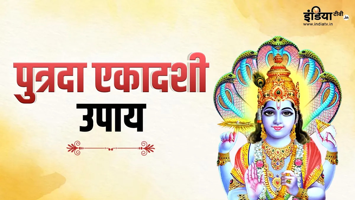 Putrada Ekadashi 2024 Astro Tips: एकादशी के दिन बस कर लीजिए ये उपाय, आपके सुख-सौभाग्य में होगी वृद्धि, मिलेगा हर समस्या का समाधान Putrada Ekadashi 2024 - India TV Hindi