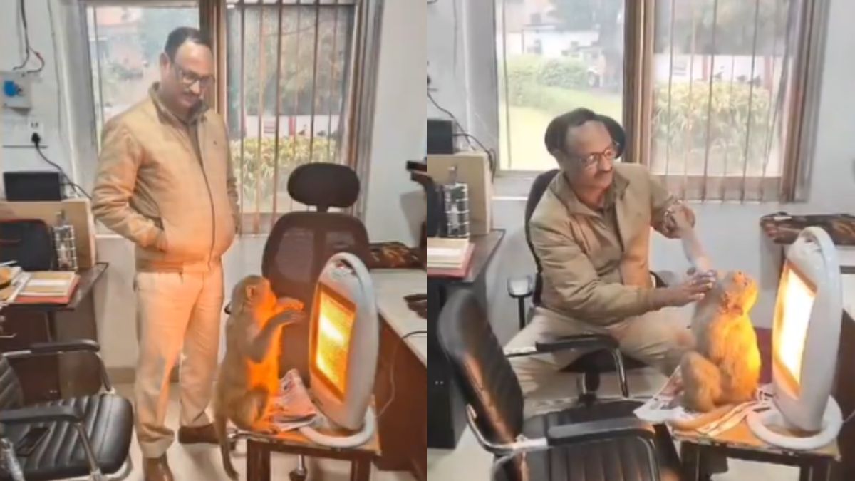 कड़ाके की ठंड सिर्फ इंसान ही नहीं जानवरों के लिए भी है, इस पुलिसवाले ने समझी बंदर की परेशानी और…