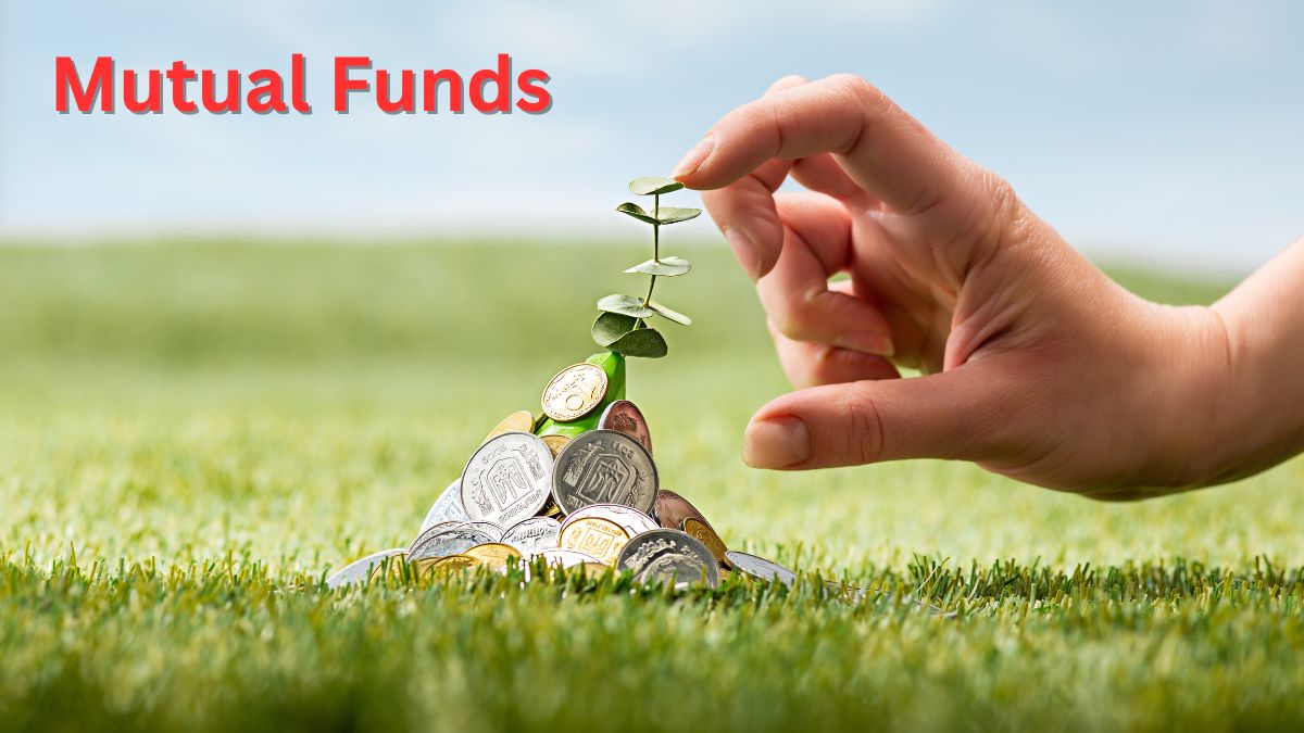 Mutual Fund Gyan: Which among active and index large cap mutual funds is beneficial to invest in?  Know – News