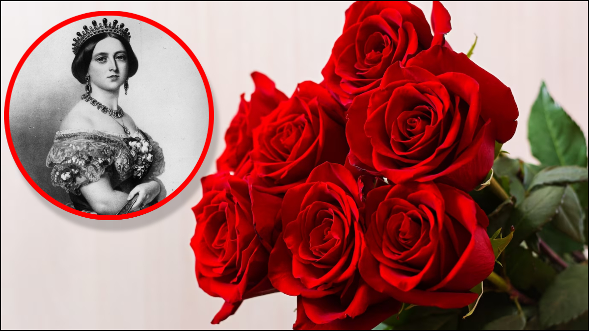 महारानी विक्टोरिया से जुड़ा है रोज डे का कनेक्शन, जानें वैलेंटाइन वीक की  शुरुआत गुलाब के साथ क्यों होती है? - India TV Hindi