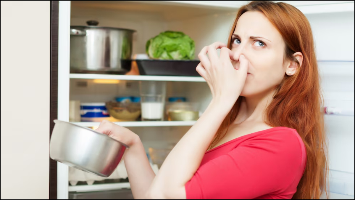 Keep these 2 leaves in the fridge, the smell and bacteria coming from food will always stay away – News