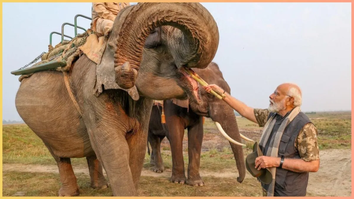 प्रधानमंत्री नरेंद्र मोदी ने की असम की सैर! जानें काजीरंगा से लेकर टी गार्डन तक यहां के फेमस टूरिस्ट प्वाइंट Pm modi at assam- India TV Hindi