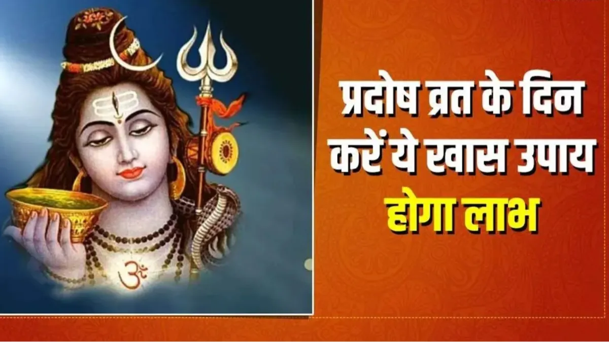 Pradosh Vrat Upay: आज शिवलिंग पर अर्पित करें ये चीजें, भगवान भोलेनाथ हर लेंगे हर दुख-परेशानी Pradosh Vrat 2024- India TV Hindi