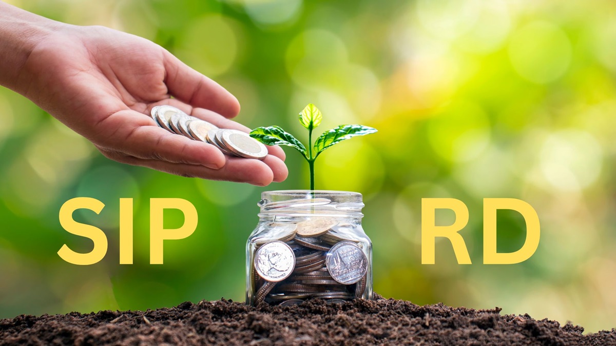 SIP vs RD: किसमें पैसे लगाने से बनेगा ज्यादा पैसा? यहां समझें दोनों में  क्या है अंतर - India TV Hindi