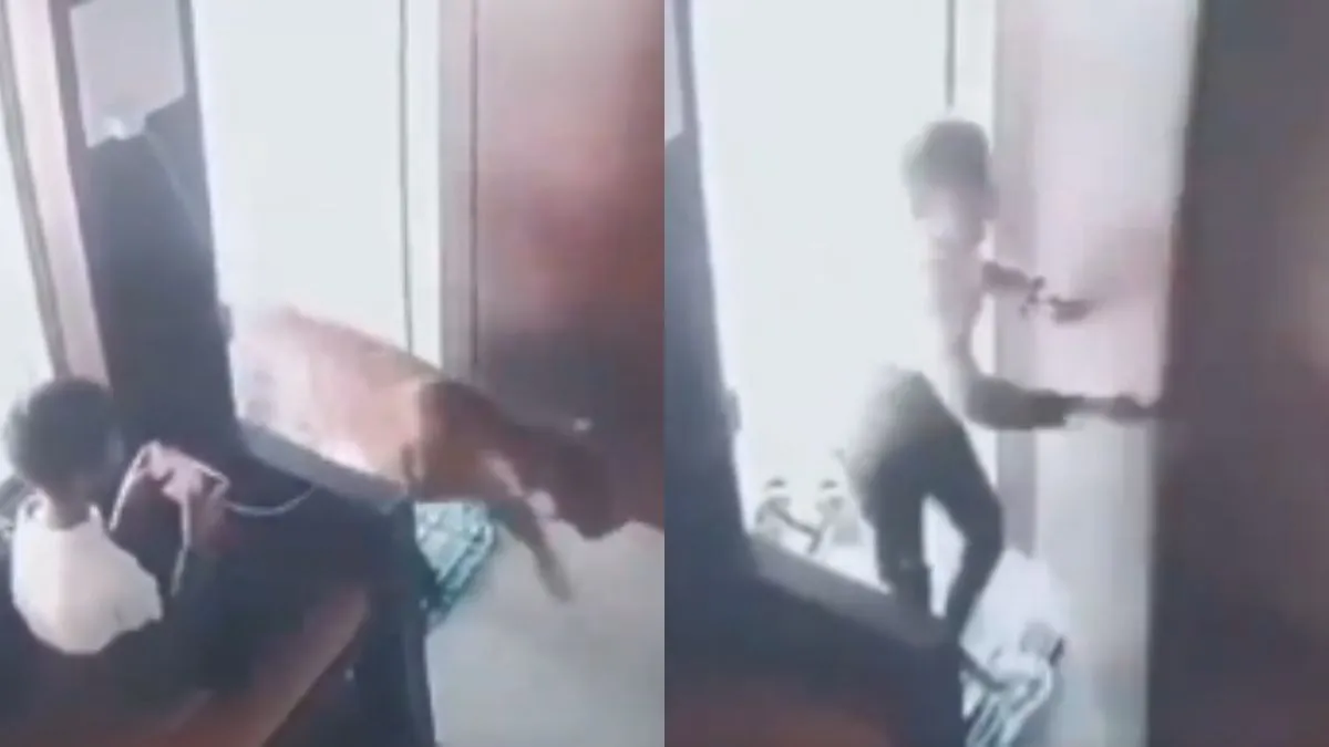 दिमाग और साहस का बेहतरीन उदाहरण है यह बच्चा, सूझबूझ से कैबिन में तेंदुए को किया बंद, Video हुआ वायरल तेंदुए को बच्चे ने कैबिन में किया बंद- India TV Hindi