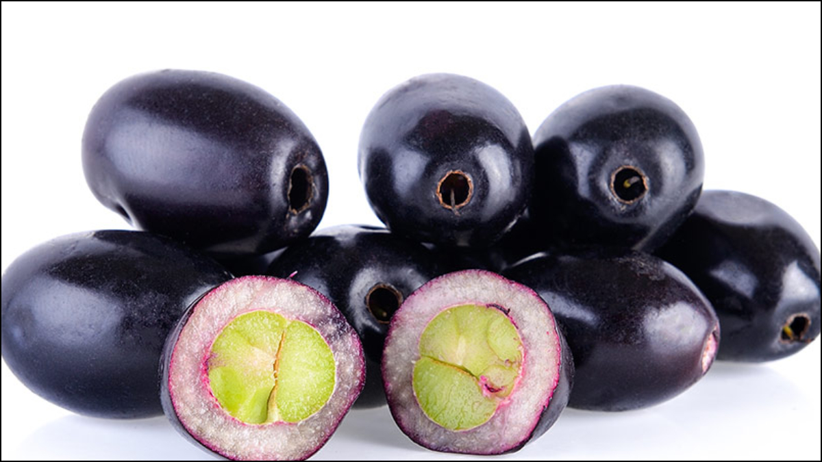 Jamun Seeds Benefits : डायबिटीज से लेकर दिल की सेहत तक, जामुन की गुठली में छिपे हैं कई औषधीय गुण 3 डायबिटीज के मरीज ऐसे करें जामुन का इस्तेमाल, पत्ते से लेकर गुठली तक हर चीज है फायदेमंद - India TV Hindi