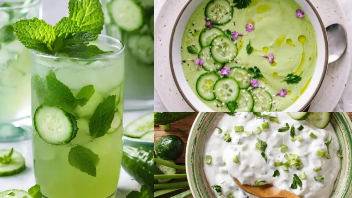 खीरे से बनी इन 3 रेसिपीज़ से करें हीट को बीट, बॉडी हमेशा रहेगी कूल-कूल; जानें कैसे बनाएं? खीरे से बनी रेसिपीज़- India TV Hindi