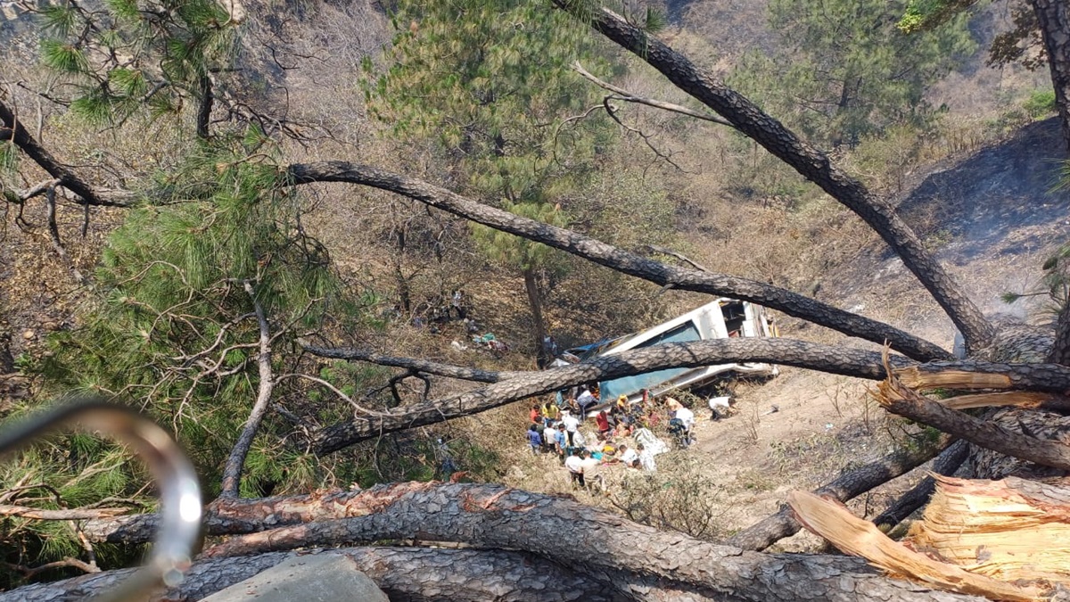 जम्मू-पुंछ हाईवे पर बड़ा हादसा, यात्रियों से भरी बस खाई में गिरी, 20 की  मौत; कई घायल - India TV Hindi