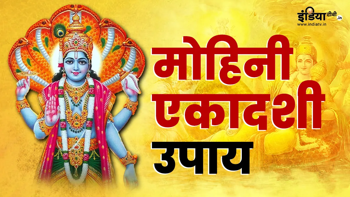 मोहिनी एकादशी को करें ये उपाय, मिलेगा बेशुमार धन, पारिवारिक और प्रेम जीवन में आएगा सुधार Mohini Ekadashi Upay- India TV Hindi