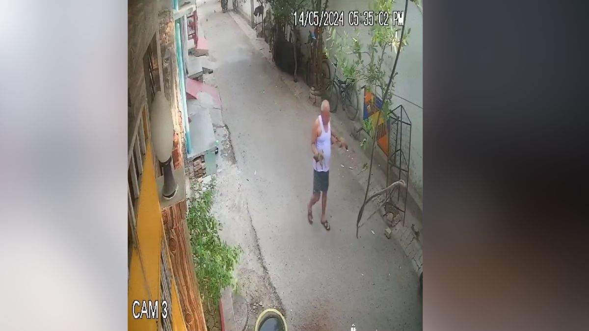 यूपी: लखनऊ में बुजुर्ग ने क्रूरता की हदें पार कीं, 2 पिल्लों की गर्दन मरोड़कर कर दी हत्या, CCTV में कैद हुई घटना