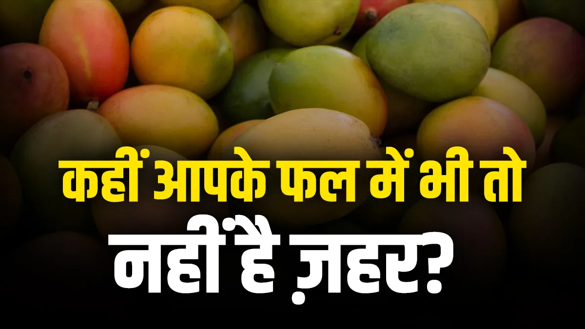 आम को पकाने में इस्तेमाल किया जाने वाला यह केमिकल है ज़हर, हो सकती हैं कई जानलेवा बीमारियां फलों के लिए ज़हर है यह...- India TV Hindi
