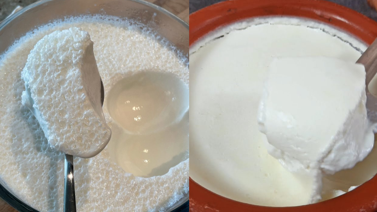 <font style="vertical-align: inherit;"><font style="vertical-align: inherit;">Follow this method to set thick curd like the market, creamy curd will set in a few hours</font></font>