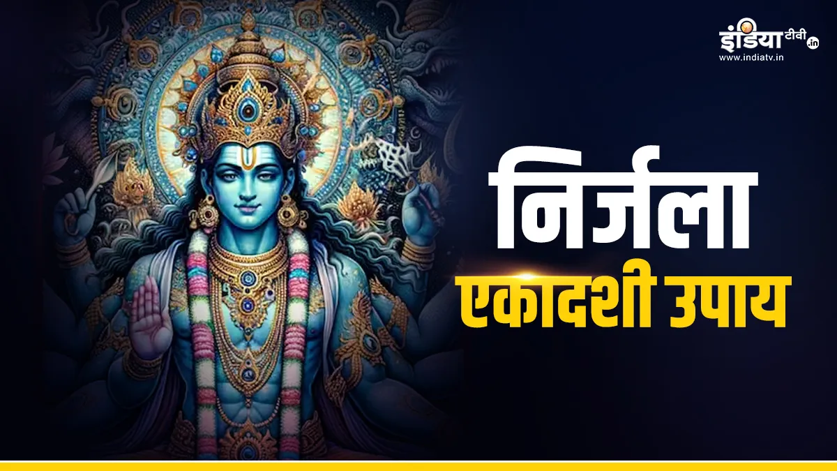 Nirjala Ekadashi Upay: साल की सबसे बड़ी एकादशी के दिन जरूर करें ये काम, भगवान विष्णु की कृपा से जीवन में आएंगी खुशियां और संपन्नता Nirjala Ekadashi 2024- India TV Hindi
