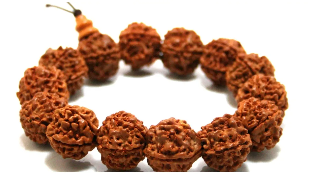 करियर का ग्राफ छूने लगेगा ऊंचाइयां, बस अपने प्रोफेशन के अनुसार चुन लें रुद्राक्ष Rudraksh - India TV Hindi