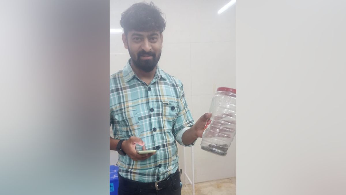 जिंदा सांप को डिब्बे में बंद करके हॉस्पिटल पहुंचा शख्स, डॉक्टर से बोला- मुझे इसने काट लिया है