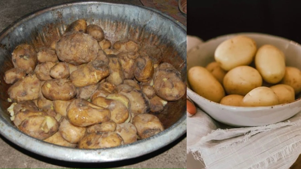 बरसात में तेजी से सड़ने लगते हैं आलू, इन आसान टिप्स की मदद से लंबे समय तक रहेंगे सुरक्षित
