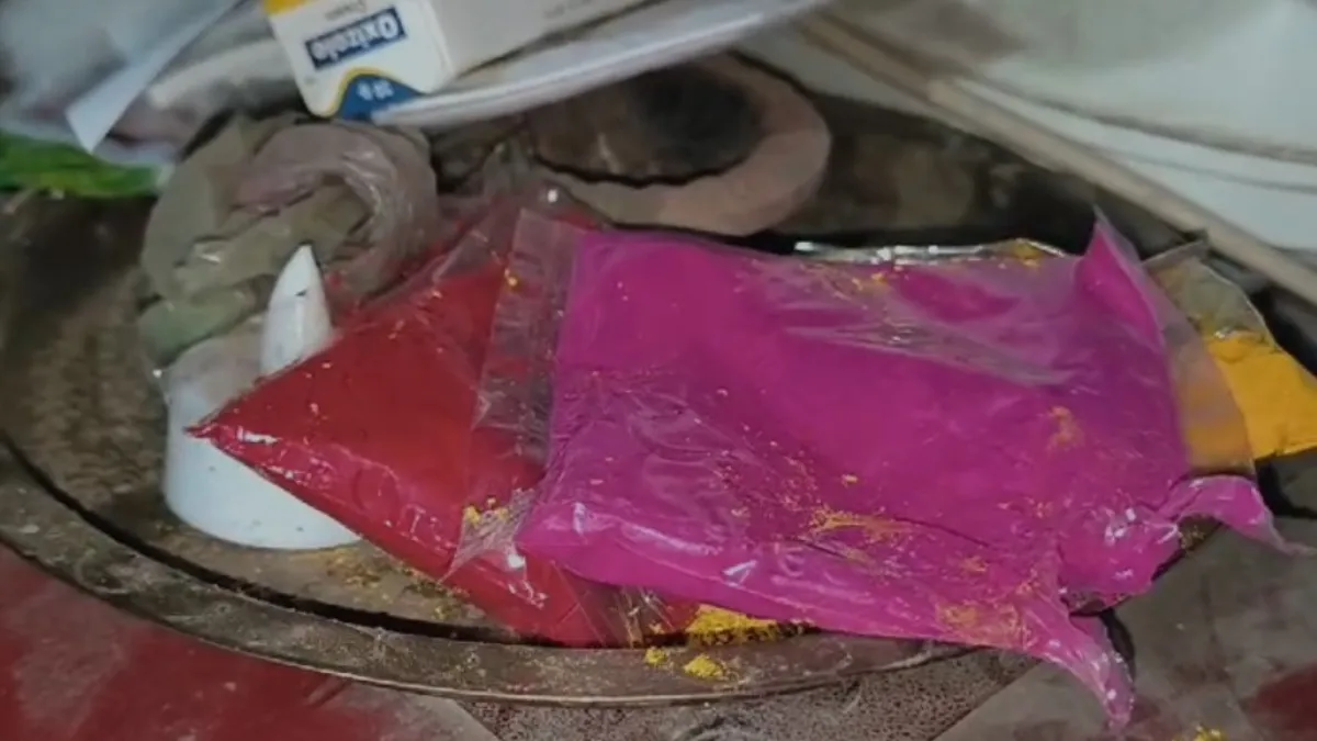 महाराष्ट्र: गुप्त धन का लालच, नरबलि देने के लिए चल रही थी अघोरी पूजा, तभी...देखें वीडियो aghori pooja- India TV Hindi