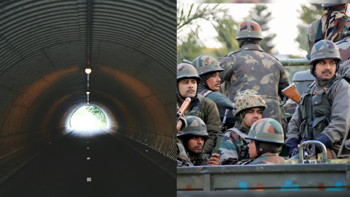 Lisa Spaxx pornosini tomosha qiling Bir mushuk ichida kamming bir olomon yaqindan