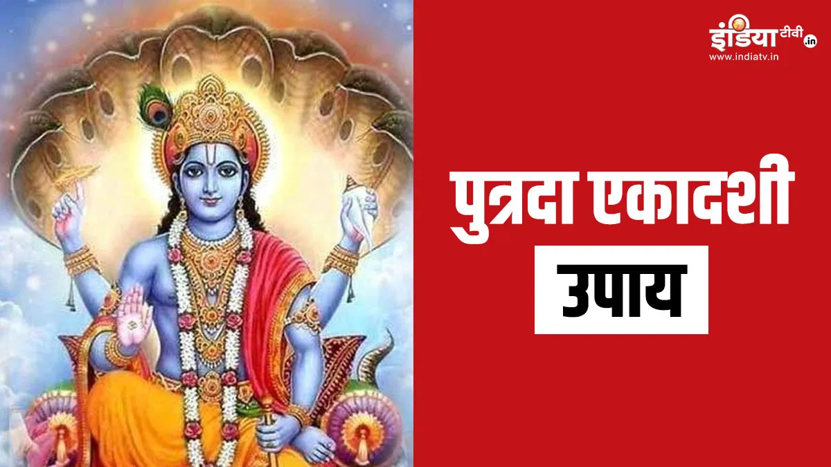 Putrada Ekadashi 2024 Upay: आज पुत्रदा एकादशी के दिन करें ये उपाय, संतान को जीवन में मिलेगी तरक्की, सुख-सौभाग्य में भी होगी बढ़ोतरी Putrada Ekadashi 2024- India TV Hindi