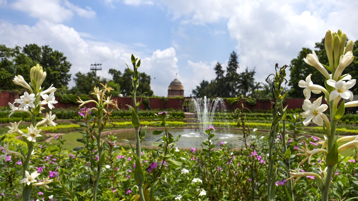 टीचर्स डे पर खास तोहफा, शिक्षकों के लिए विशेष रूप से 5 सितंबर को खुलेगा अमृत ​​उद्यान