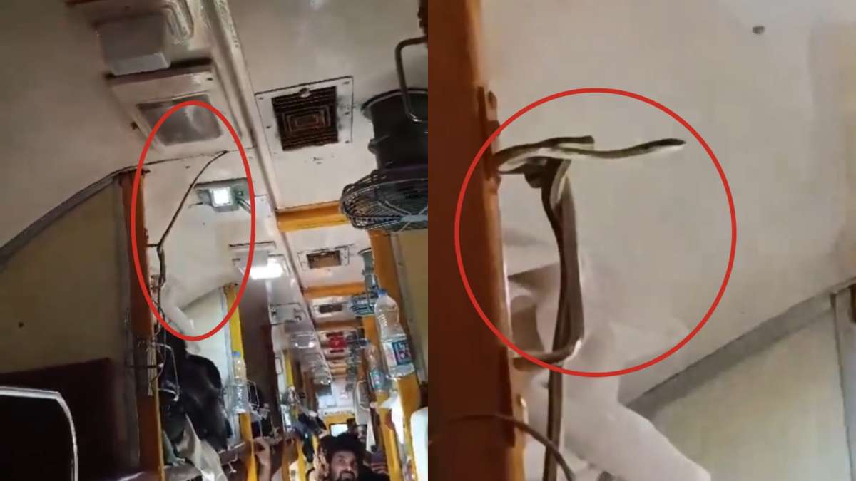 Video: ट्रेन है या जू! एसी कोच के अंदर घुसा सांप, यात्रियों की हालत हुई पतली, वीडियो में डरे-सहमे दिखे