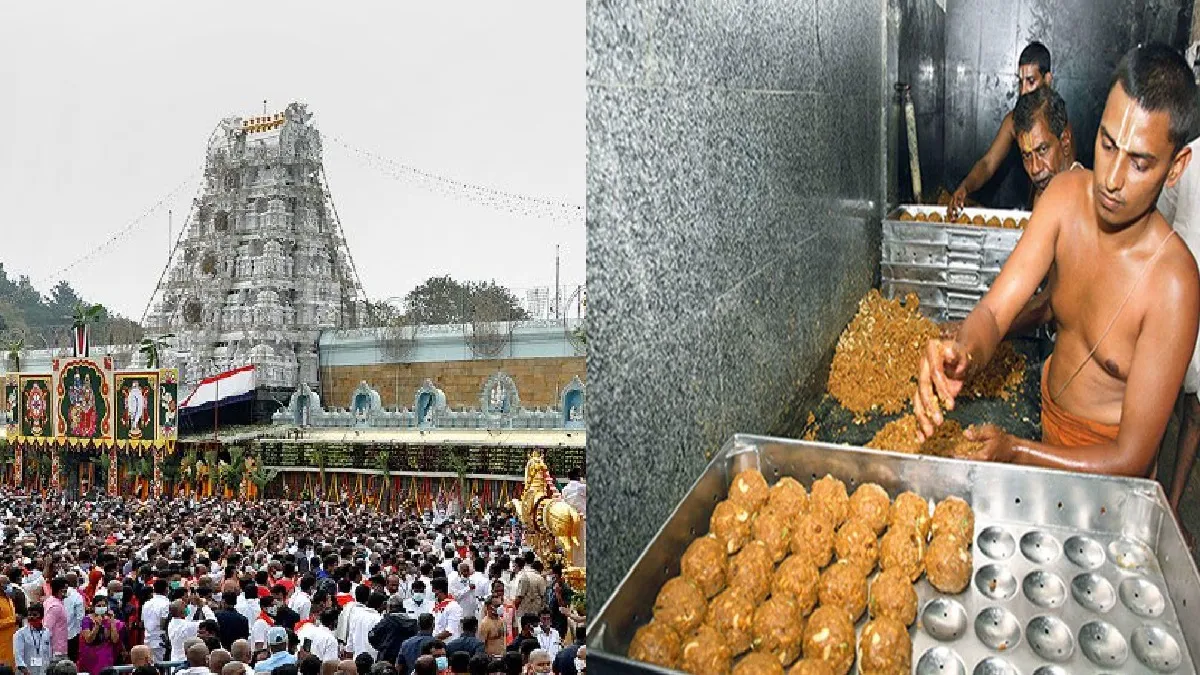 600 ब्राह्मणों की टीम, 300 साल से नहीं बदली लड्डू बनाने की विधि, 320 रुपये के चक्कर में तिरुपति बालाजी में अनर्थ तिरुपति बालाजी के लड्डू को लेकर विवाद- India TV Hindi