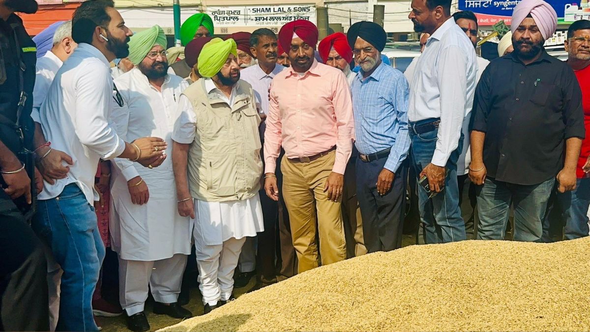 ‘धीमी’ धान खरीद पर भड़के अमरिंदर सिंह, सीएम भगवंत मान और AAP को लिया आड़े हाथ