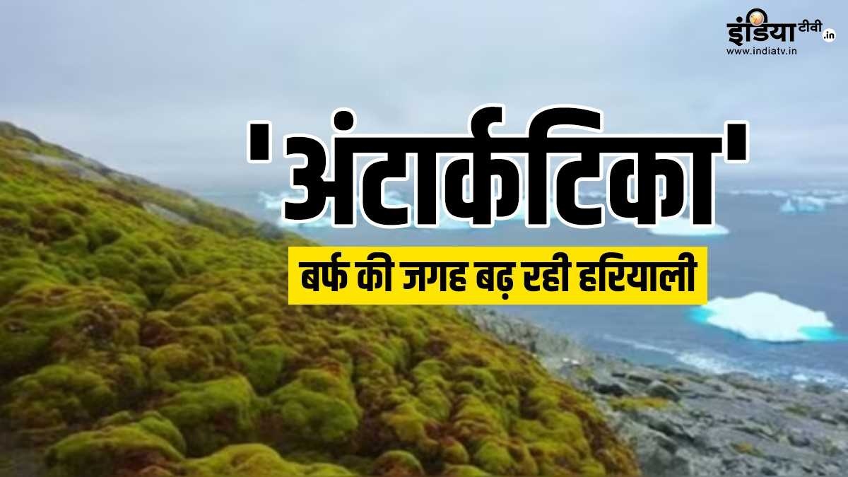 Explainer: बर्फीले रेगिस्तान ‘अंटार्कटिका’ में तेजी से फैल रही हरियाली, जानिए क्यों है ये चिंता का विषय?