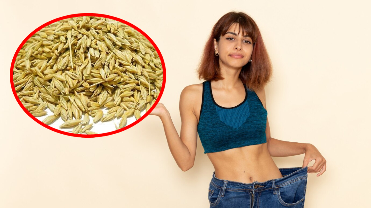 Weight Loss के लिए गेहूं से कहीं ज्यादा असरदार है जौ, इस तरह डाइट में करें शामिल, कम होने लगेगा मोटापा