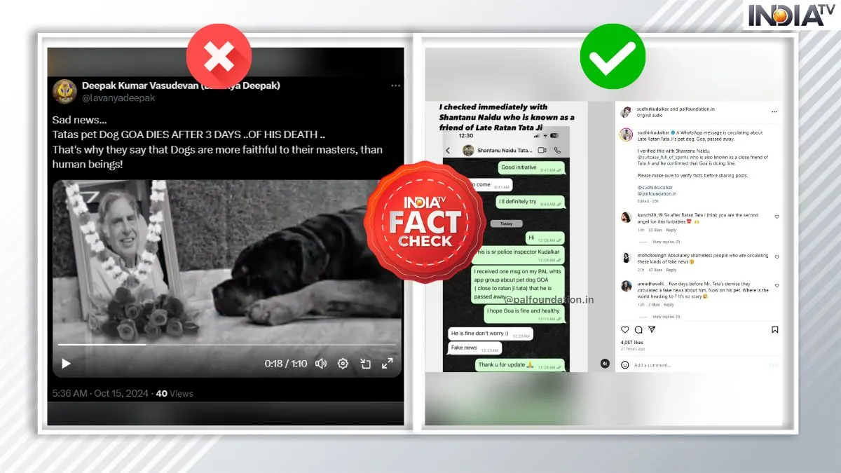 Fact Check: क्या रतन टाटा के कुत्ते 'GOA' की भी मौत हो गई है? जानें क्या है वायरल पोस्ट का सच फैक्ट चेक।- India TV Hindi
