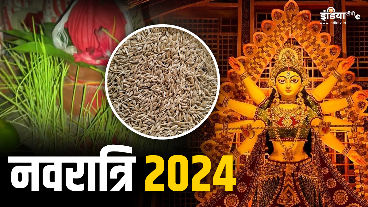 नवरात्रि में इस विधि-विधान के साथ ही बोए जौ, तभी मां भगवती होंगी प्रसन्न, जान लें सही नियम