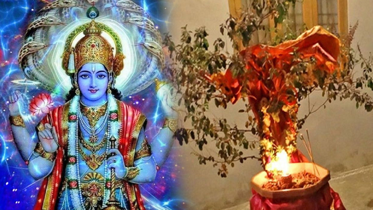 कार्तिक माह में तुलसी पूजा के साथ ही कर लें ये उपाय, घर में बनी रहेगी  सुख-समृद्धि, भगवान विष्णु भी होंगे प्रसन्न - India TV Hindi