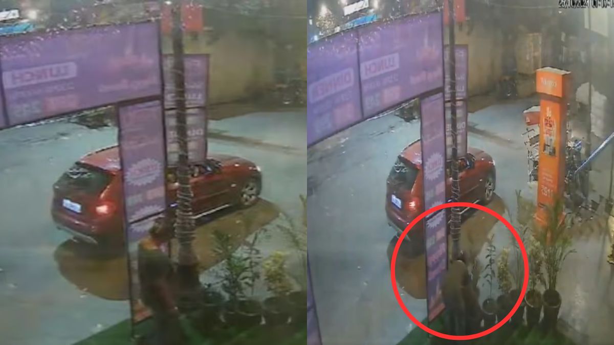 ‘वाह दीदी वाह! कम से कम BMW की इज्जत रख लेती’, कार से उतरी और गमला लेकर भाग गई महिला, देखें Video