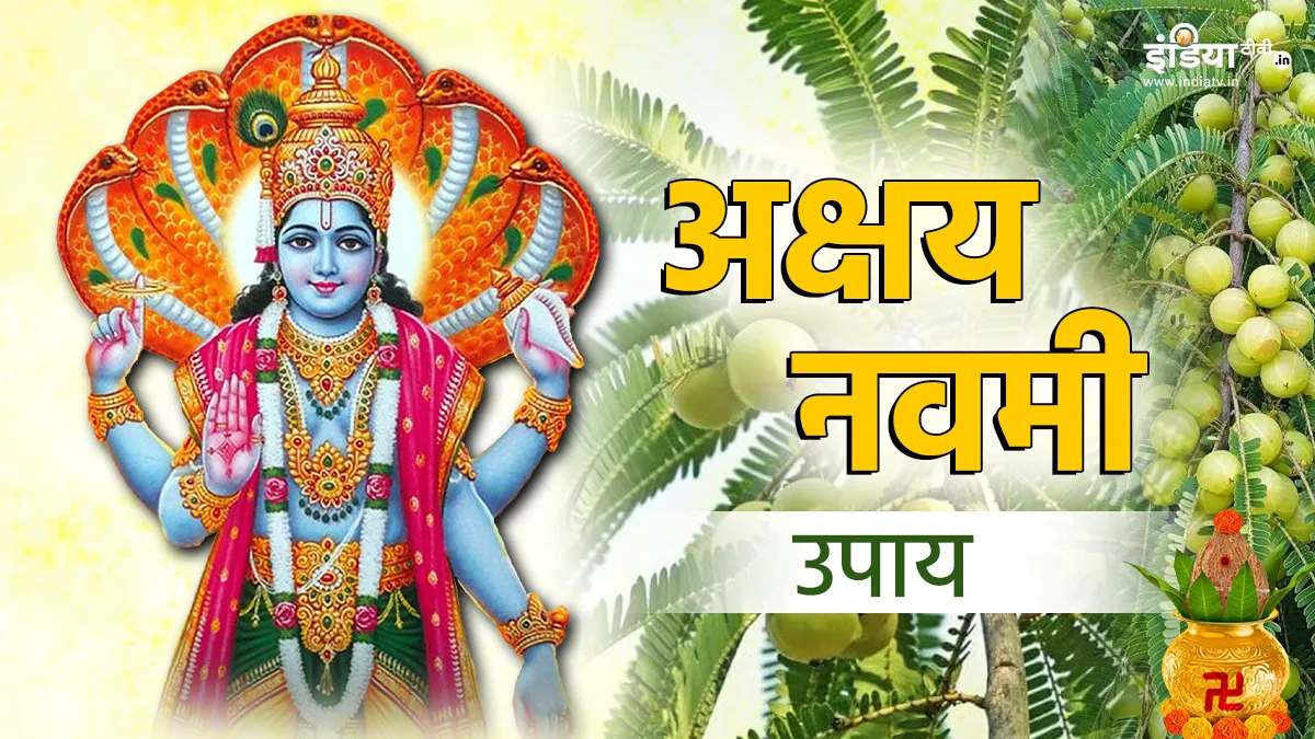 Akshay Navami 2024 Upay: आज आंवला पेड़ का जरूर करें ये उपाय, सुख-सौभाग्य और संपदा में होगी बढ़ोतरी Akshay Navami 2024- India TV Hindi