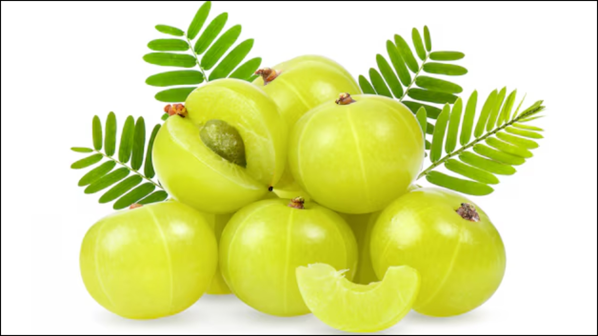 ठंड में इन 3 तरीकों से करें कच्चे आंवला का सेवन, Amla से तैयार करें ये खास रेसिपी, हर कोई चटकारे लेकर खाएगा