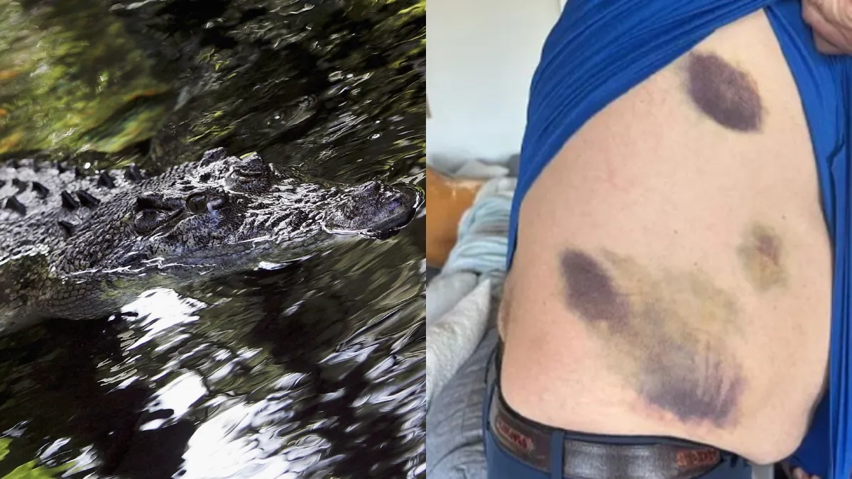 मगरमच्छों का निवाला बनने से बाल-बाल बचा महान क्रिकेटर, 'दुश्मन' टीम के खिलाड़ी ने बचाई जान Ian Botham- India TV Hindi