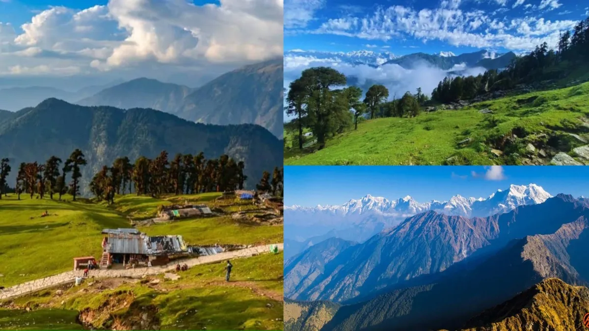 उत्तराखंड में भी है मिनी स्विट्जरलैंड, यहां कैसे जा सकते हैं आप और कितना खर्च होगा? uttarakhand famous tourist places Chopta - India TV Hindi