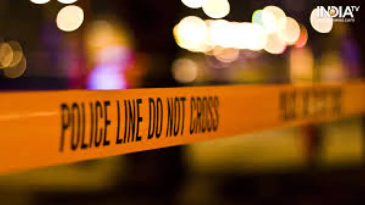 रात के अंधेरे में चोरी करने घुसे, शोर करने पर 7 महीने की गर्भवती महिला की हत्या प्रतीकात्मक फोटो- India TV Hindi