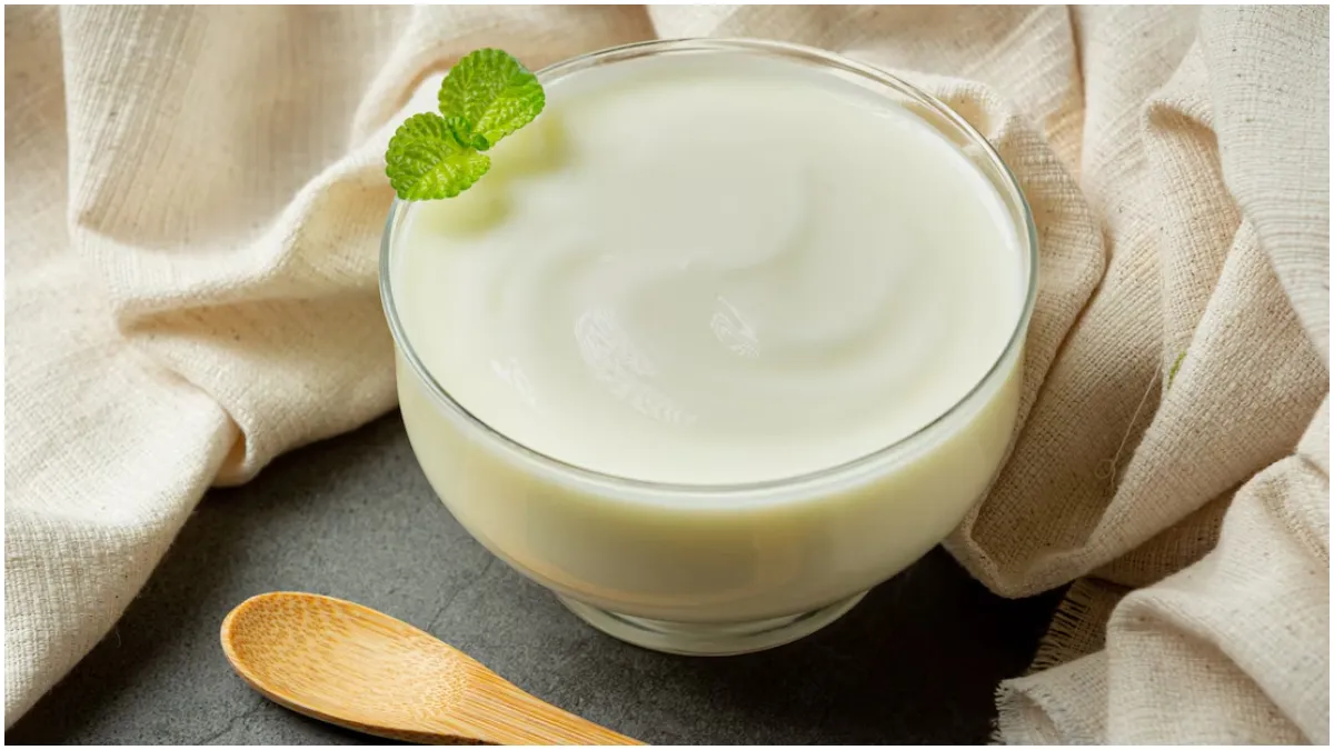 सर्दियों में दही खाने से खराब हो जाता है गला, तो इस तरह से कर सकते हैं सेवन सर्दियों में दही खाने का तरीका- India TV Hindi