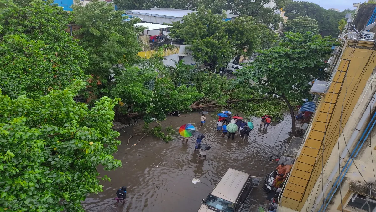 LIVE: चक्रवाती तूफान फेंगल ने मचाई तबाही, अबतक तीन लोगों की मौत, खुल गया चेन्नई हवाईअड्डा cyclone fangal update- India TV Hindi