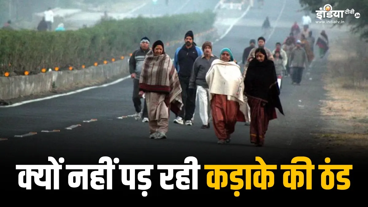 Explainer: दिसंबर में भी क्यों नहीं पड़ रही कड़ाके की ठंड? WMO की चेतावनी-अब भी सुधर जाएं, नहीं तो! दिसंबर में भी नहीं पड़...- India TV Hindi