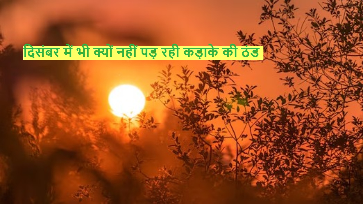 Explainer: ‘कुछ कहता है ये मौसम’… रूठा रहा वसंत, दिसंबर में भी क्यों नहीं पड़ रही कड़ाके की ठंड? जानें वजह