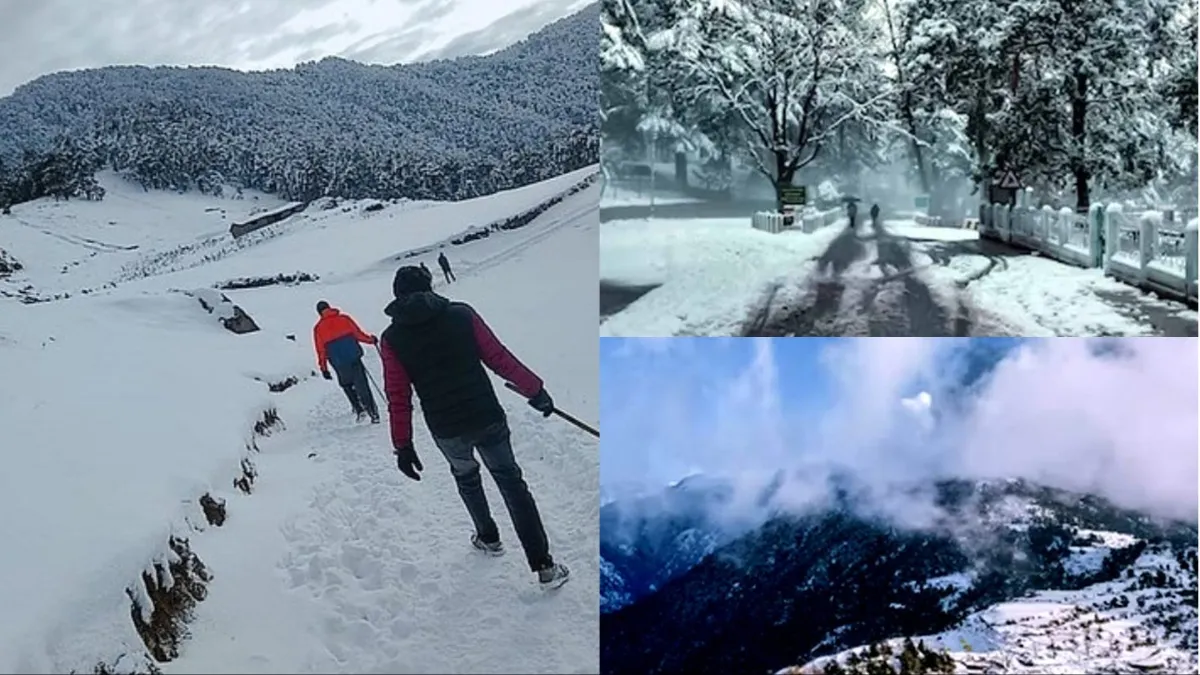 धनोल्टी- India TV Hindi