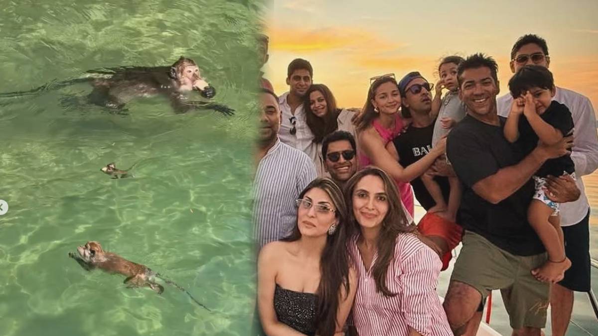 बंदरों ने की स्विमिंग, हैरत में छोटी राहा, मौसी शाहीन ने दिखाई रणबीर की लाडली की मासूमियत
