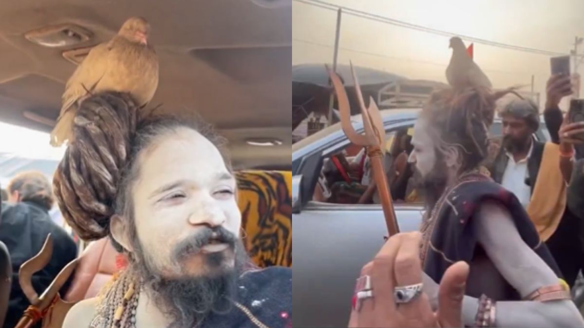 9 साल से बाबा की खोपड़ी पर बैठा है ये कबूतर, महाकुंभ में आए एक और संन्यासी का Video हुआ वायरल