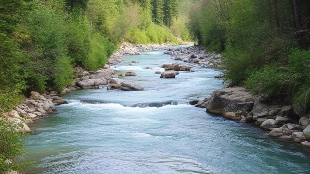 प्रतीकात्मक फोटो- India TV Hindi
