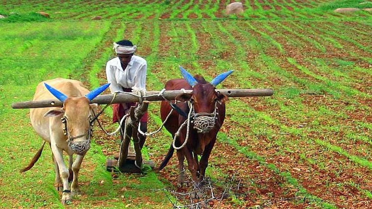 अन्नदाताओं को सरकार ने दी बड़ी खुशखबरी, ‘किसान क्रेडिट कार्ड की बढ़ाई गई सीमा, जानिए अब कितने लाख का ले सकेंगे लोन?