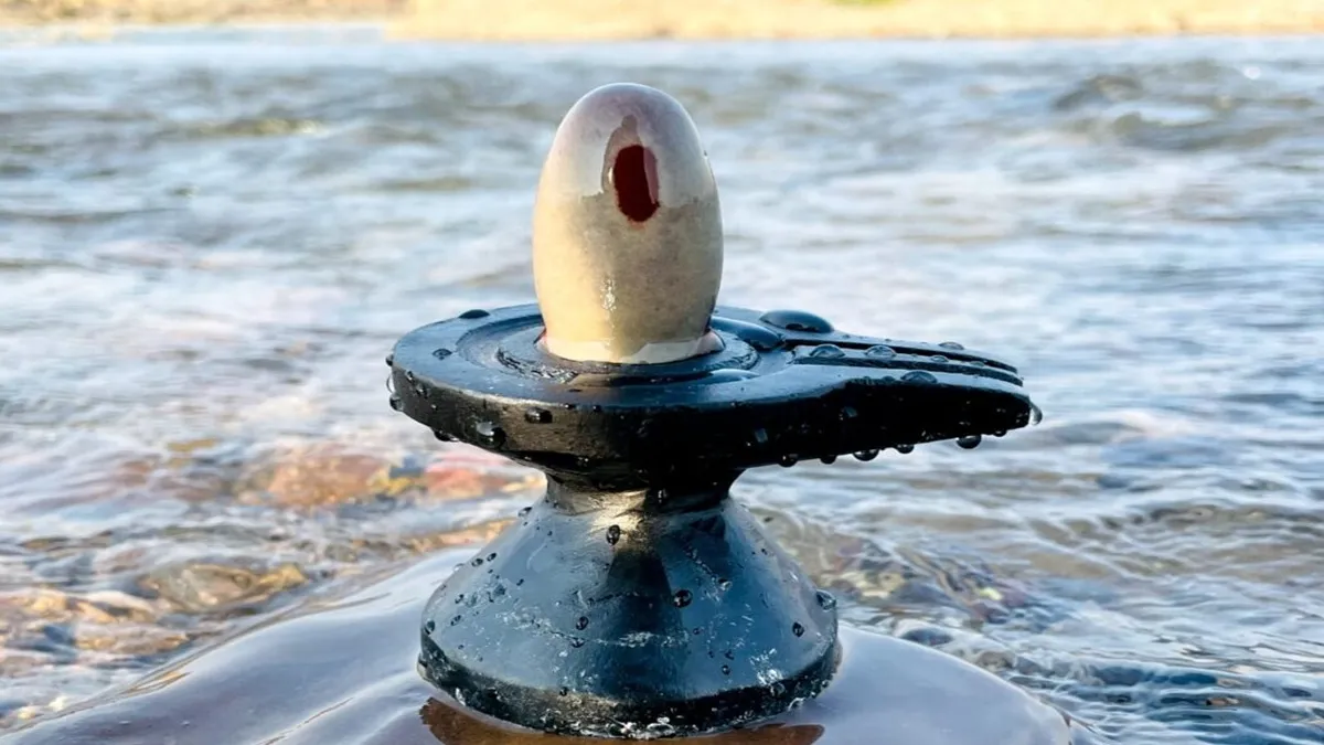 shivling- India TV Hindi